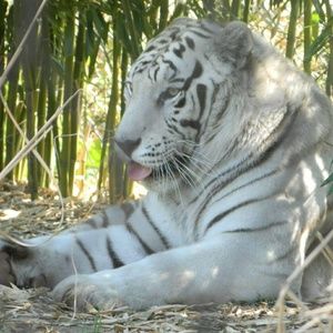 Meet your Posher, Jenn